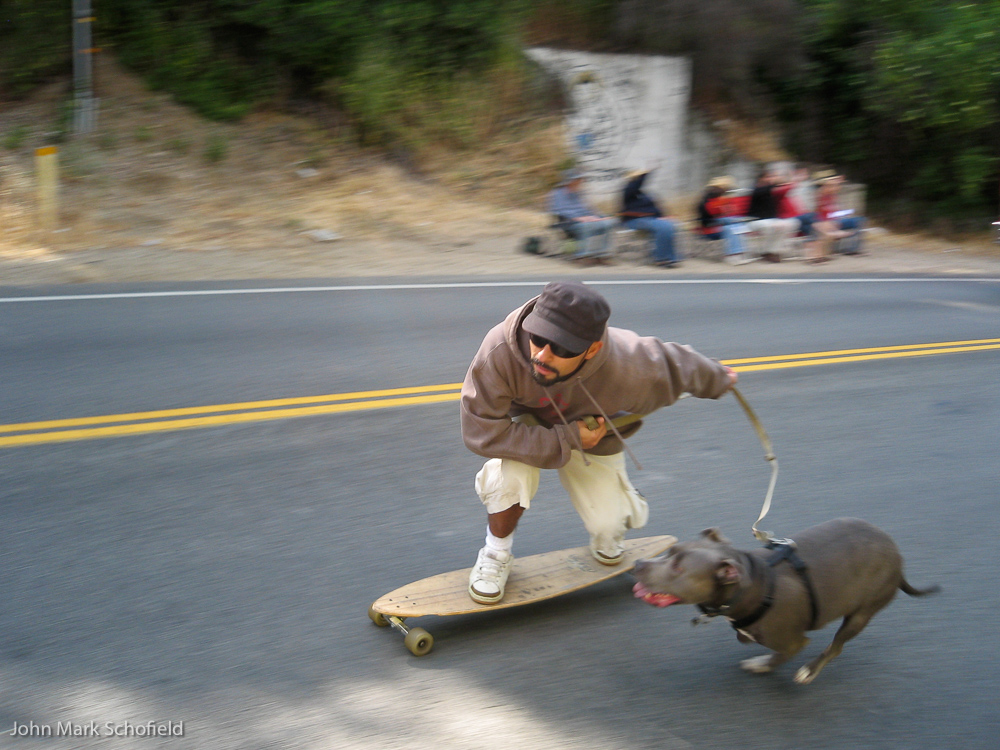 Dog-propelled skateboarding in the parade